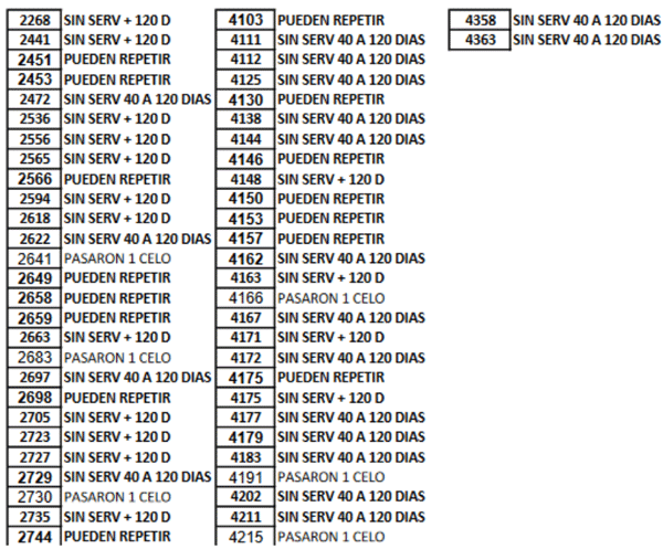 REPORTE TODOS LOS NUMEROS