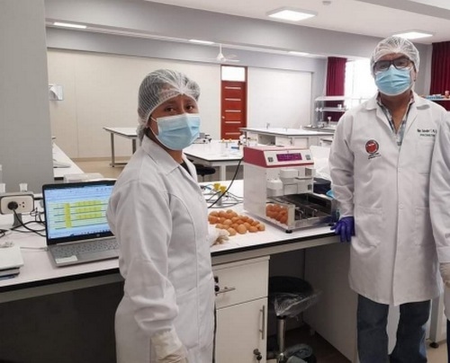 Efecto de diferentes niveles de sodio en la dieta sobre la calidad de huevo, respuesta productiva y económica de gallinas de postura - Image 3