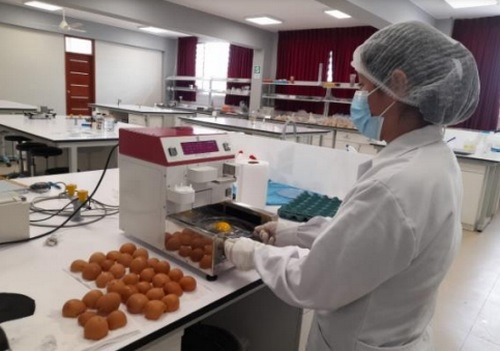 Efecto de diferentes niveles de sodio en la dieta sobre la calidad de huevo, respuesta productiva y económica de gallinas de postura - Image 2