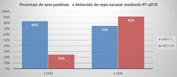 Comparación de un programa de vacunación contra gumboro por vía oral y un programa de vacunación con complejo inmune en pollo de engorda comercial - Image 1