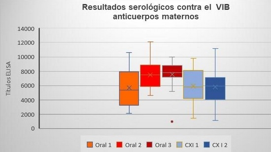 Comparación de un programa de vacunación contra gumboro por vía oral y un programa de vacunación con complejo inmune en pollo de engorda comercial - Image 2