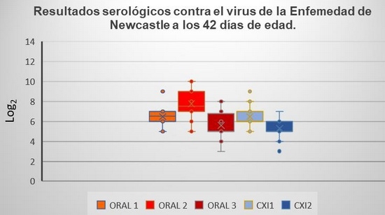 Comparación de un programa de vacunación contra gumboro por vía oral y un programa de vacunación con complejo inmune en pollo de engorda comercial - Image 9