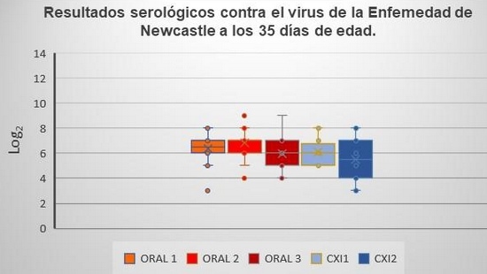 Comparación de un programa de vacunación contra gumboro por vía oral y un programa de vacunación con complejo inmune en pollo de engorda comercial - Image 8