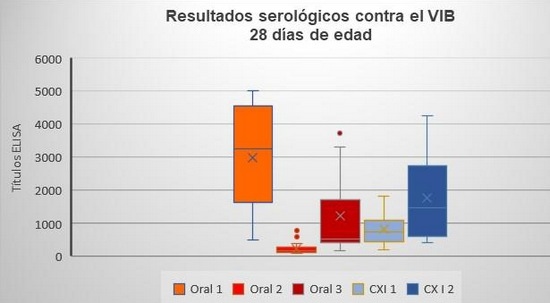 Comparación de un programa de vacunación contra gumboro por vía oral y un programa de vacunación con complejo inmune en pollo de engorda comercial - Image 1