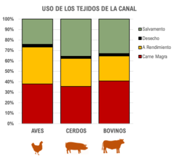 Del rendimiento en canal, al ‘Quinto cuarto’ y las plantas de rendimiento - Image 1