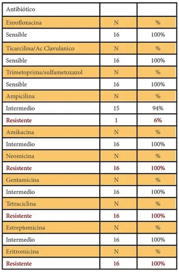Susceptibilidad antimicrobiana de Escherichia coli en pollos bebe de engorde en el norte de Perú - Image 1