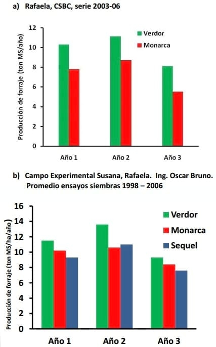 Manejo inicial de alfalfa - Image 4