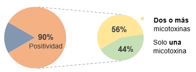 Relevamiento de Micotoxinas en Latinoamérica 2023 - Image 3