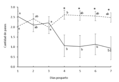 Figura 1. Cantidad de pasos realizados por vacas primíparas Holando durante los primeros 7 días posparto en un SOV según clasificación por la prueba VF (vacas calmas: línea discontinua; reactivas: línea continua). Diferencias entre días son indicadas con diferentes letras, y diferencias entre clasificación (calma y reactiva) dentro del mismo día con * (P≤0,05)