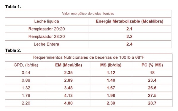 Leche Entera versus Remplazador en la alimentación de terneras - Image 1