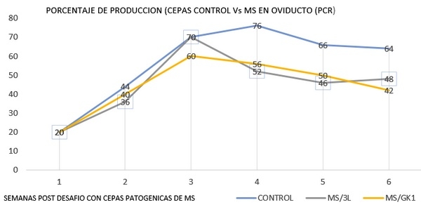 Eficacia terapéutica de la tylvalosina(tvn) en aves positivas a mycoplasma synoviae, un enfoque del efecto clinico sobre la calidad de huevo (síndrome EAA) en la ponedora comercial - Image 2