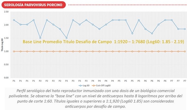 Variabilidad genética del parvovirus porcino y su implicación en la vacunación - Image 6