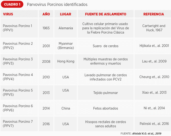 Variabilidad genética del parvovirus porcino y su implicación en la vacunación - Image 2