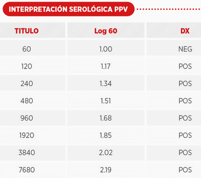 Variabilidad genética del parvovirus porcino y su implicación en la vacunación - Image 5