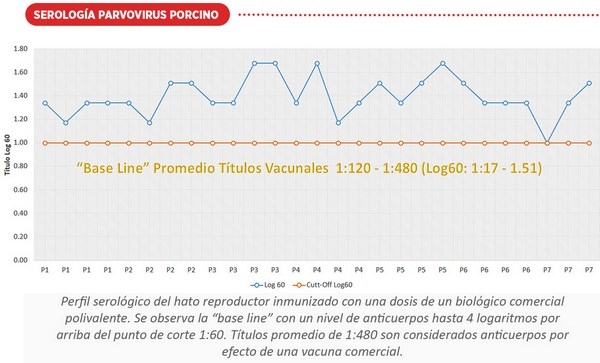 Variabilidad genética del parvovirus porcino y su implicación en la vacunación - Image 7