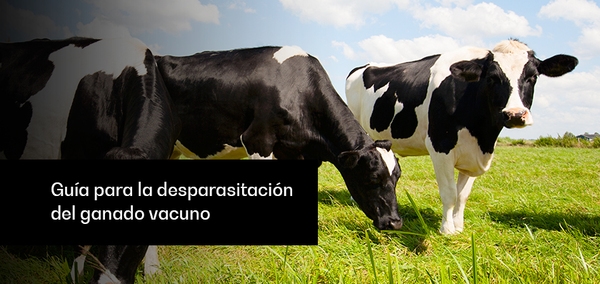 Guía para la desparasitación del ganado vacuno - Image 1