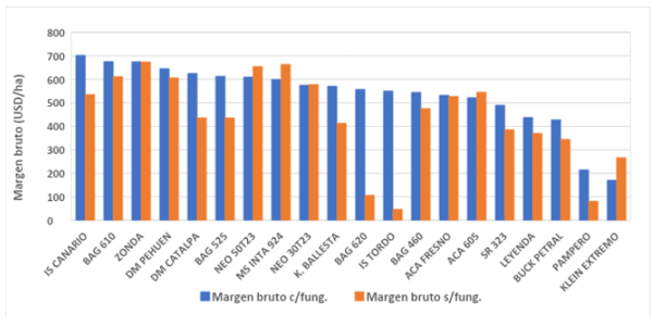 Grafico 4: Trigo 2023: margen bruto de trigo de ciclos intermedios y cortos con y sin aplicación de funguicida