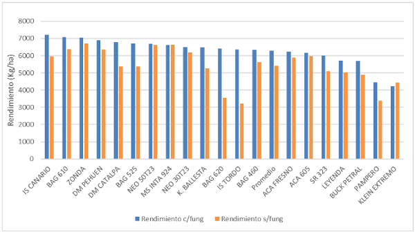Grafico 3: Rendimientos ciclos intermedios y cortos.