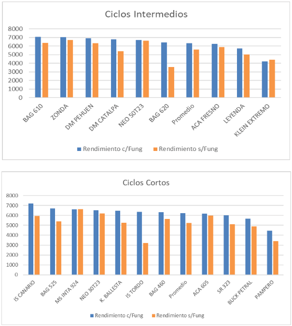Gráfico 2: Rendimientos con y sin aplicación de Fungicida ciclos intermedios y cortos.