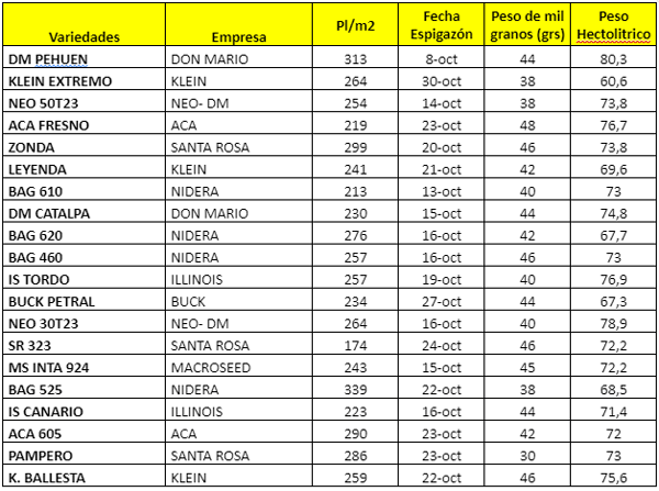 Cuadro 3: Resultados de plantas por metro cuadrado, fecha de espigazón, peso de mil granos y peso hectolitrico.