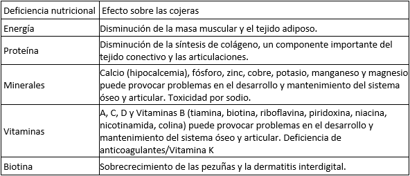 Cojeras en Cerdas: Una Perspectiva Integral para Mejorar la Producción Porcina - Image 4