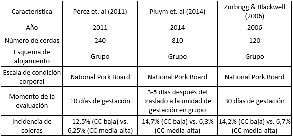 Cojeras en Cerdas: Una Perspectiva Integral para Mejorar la Producción Porcina - Image 3