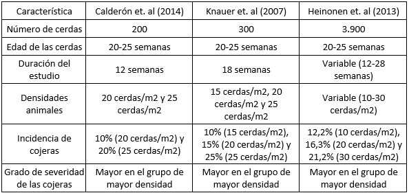 Cojeras en Cerdas: Una Perspectiva Integral para Mejorar la Producción Porcina - Image 2