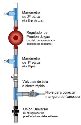 Fig. 3b. Manifold con derivación para flameado