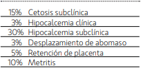 Transición: Una puesta a punto para no perder vacas - Image 4