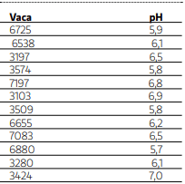 Transición: Una puesta a punto para no perder vacas - Image 3