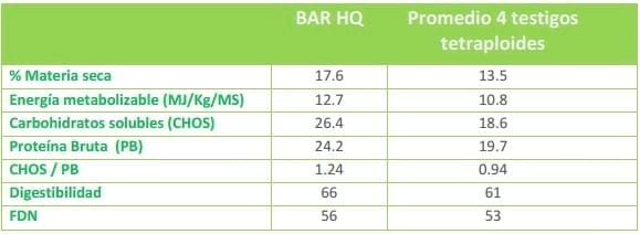 Raigrás Anual: Guía para la elección de cultivares de raigrás anual - Image 3