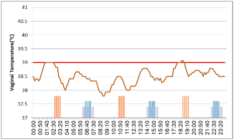 Fig. 2 - Temperatura vaginal a lo largo del día, cuando las vacas fueron enfriadas durante 6 horas acumuladas por día, antes y entre cada sesión de ordeño, una sesión de enfriamiento cada 4 horas. Las columnas azules representan el tratamiento de enfriamiento proporcionado antes de cada ordeño y las columnas naranjas representan los tratamientos de enfriamiento proporcionados entre las ordeñas.