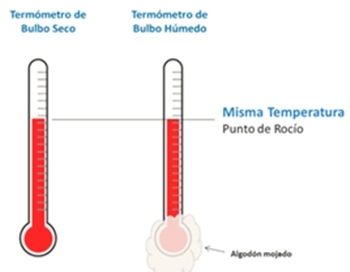 Manejo ambiental en cerdos: la influencia de la humedad en épocas de altas temperaturas - Image 5