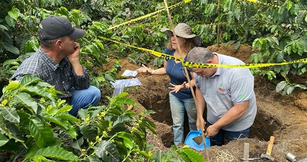Regenerando la agricultura desde las raíces - Image 1