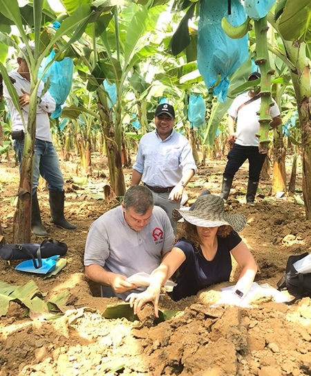Regenerando la agricultura desde las raíces - Image 2