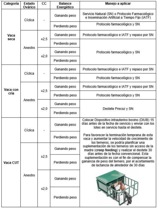 ¿CÓMO INCREMENTAR LA TASA DE DESTETE de DEL SISTEMA DE CRÍA DE CORRIENTES? - Image 1