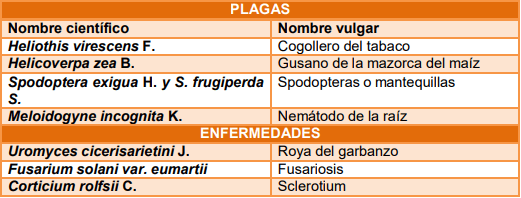 Manejo del cultivo de garbanzo (Cicer arietinum L.) - Image 9