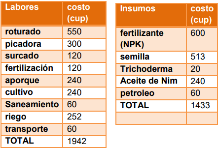 Manejo del cultivo de garbanzo (Cicer arietinum L.) - Image 12