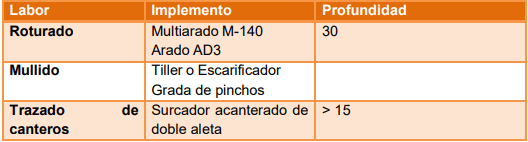 Manejo del cultivo de garbanzo (Cicer arietinum L.) - Image 8