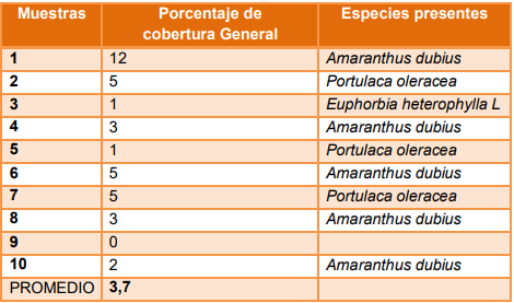 Manejo del cultivo de garbanzo (Cicer arietinum L.) - Image 10