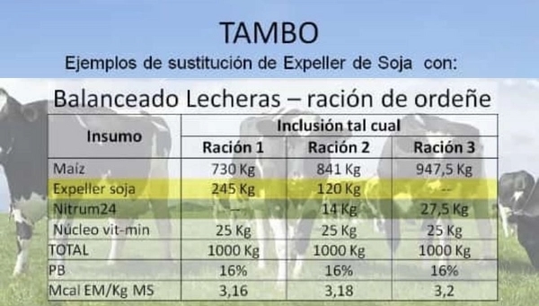 Sustitución de Expeller de Soja en raciones para tambo - Image 1