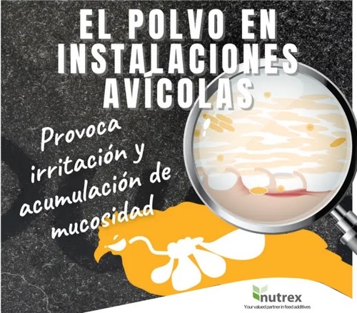 El polvo en instalaciones avícolas: ¿una amenaza para los pulmones? - Image 1