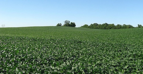 Conservación de suelos: Revelan beneficios para el agro y la sociedad - Image 2