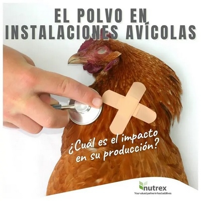 El polvo en instalaciones avícolas, un peligro respiratorio - Image 1