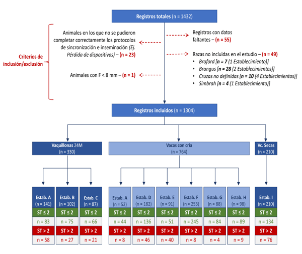 Figura 2.1. Diagrama de flujo que muestra el proceso de selección y clasificación de los registros empleados. F: Folículo. Vc.: Vacas. Estab.: Establecimiento. ST: Score de Temperamento (ST ≤ 2 = Adecuado; ST > 2 = Excitable).