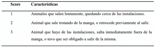 Tabla 2.2. Score de Salida de la manga (SS). Escala 1 a 3 adaptada de Grandin et al. (1995) y Woiwode et al. (2016).