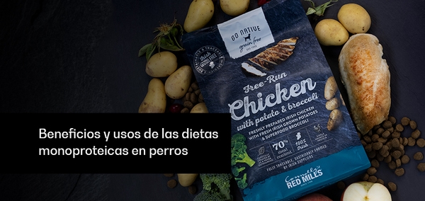Beneficios y usos de las dietas monoproteicas en perros - Image 1