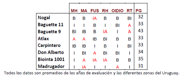 Variedades de trigo con mejor comportamiento y potencial para Uruguay - Image 1