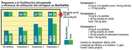 Verdeos de Raigrás Anual - Image 2