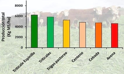 Claves del manejo de triticale - Image 1